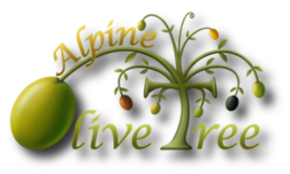 Alpine Olive Tree